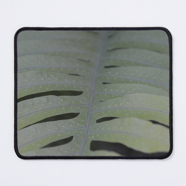 Item preview, Symmetrical Pale Fern Frond Texture Close Up designed and sold by MiraNadaPrints.