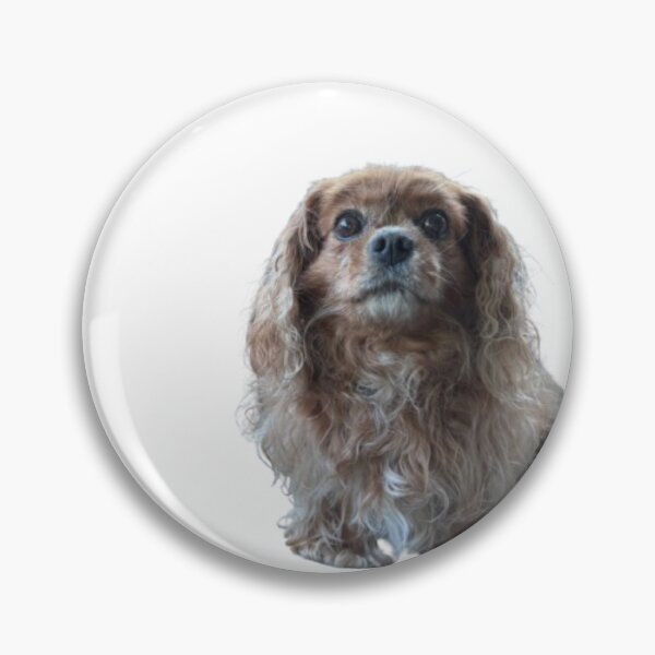 Item preview, Grumpy Puppy designed and sold by Swtboi's Shop.