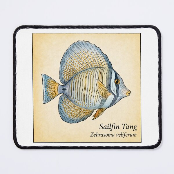 Item preview, Sailfin Tang Vintage Marine Atlas Illustration designed and sold by KenworksDigital.