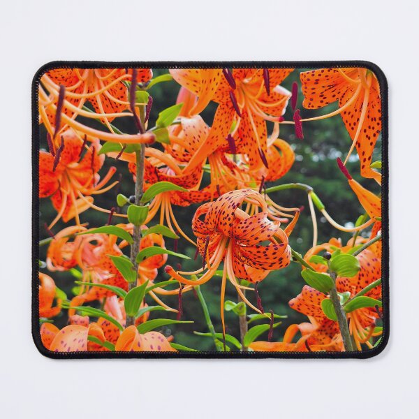 Item preview, Tiger Lily Cluster designed and sold by bjtomiko.
