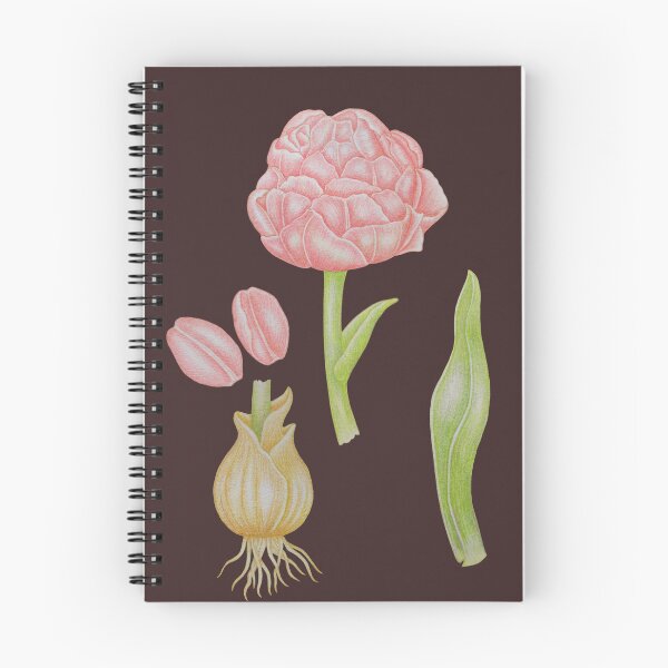 Item preview, Botanical Flower Study – Pink Bloom and Plant Elements designed and sold by calmcolourprint.