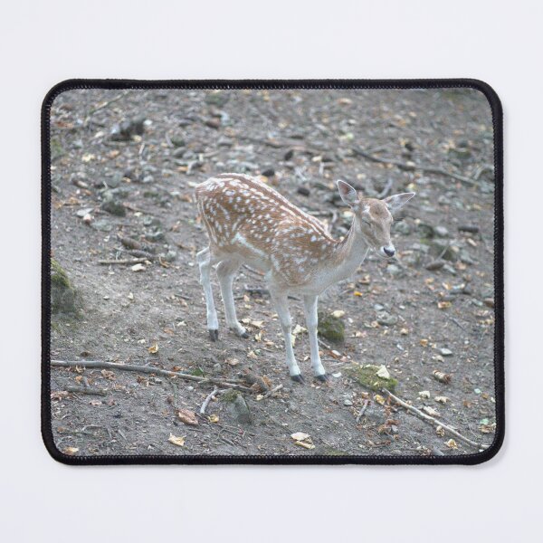 Item preview, Photograph of a Doe 04 designed and sold by YCBARTS.