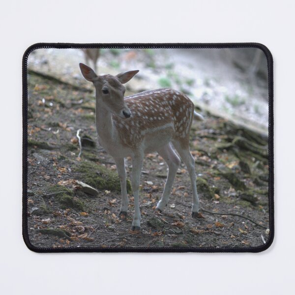 Item preview, Photograph of a Doe 05 designed and sold by YCBARTS.