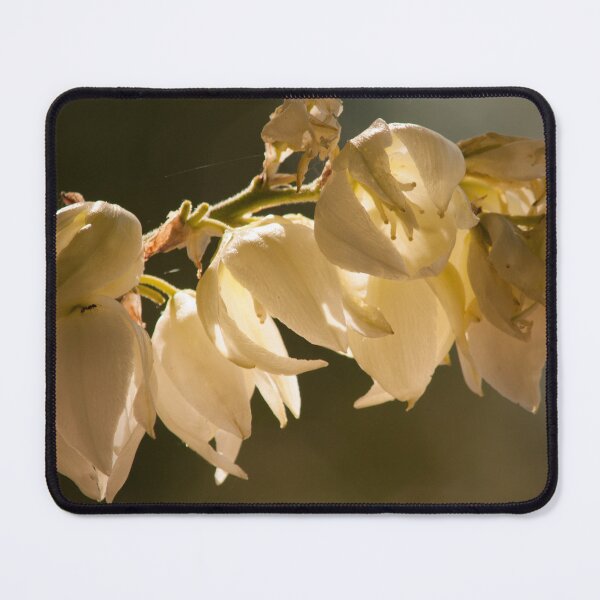 Item preview, Golden Light designed and sold by My Photo Shop.