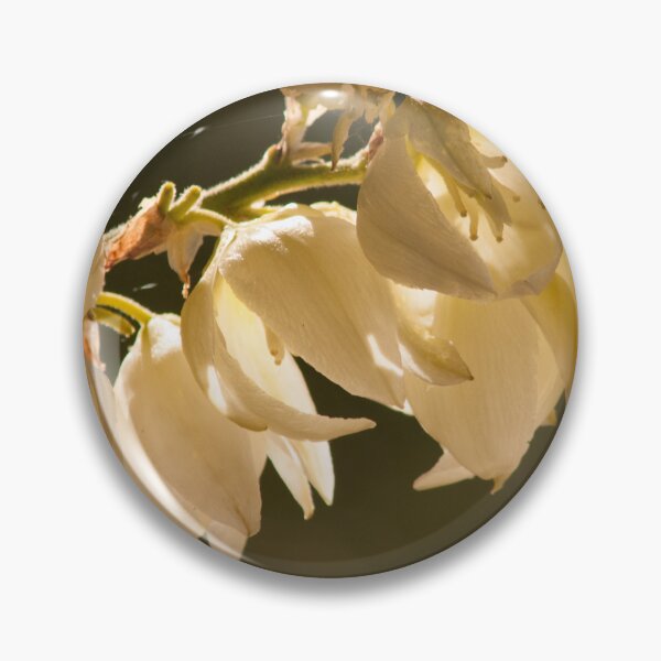 Item preview, Golden Light designed and sold by My Photo Shop.