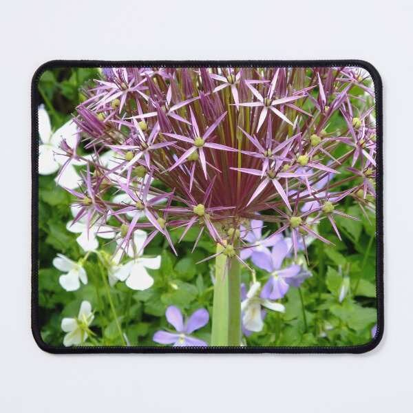 Item preview, Purple Allium Flower Garden Photography designed and sold by pinkal.