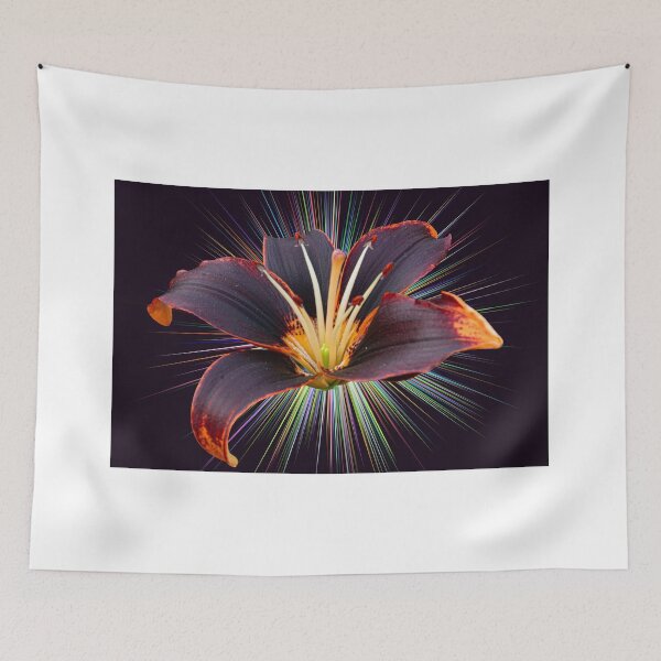 Item preview, Lilium Forever Susan Starburst designed and sold by Steve Purnell Photography.