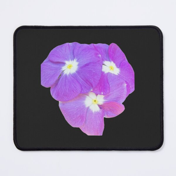 Item preview, Purple Periwinkle Flower Trio Transparent Sticker Graphic designed and sold by BalkanBloom.