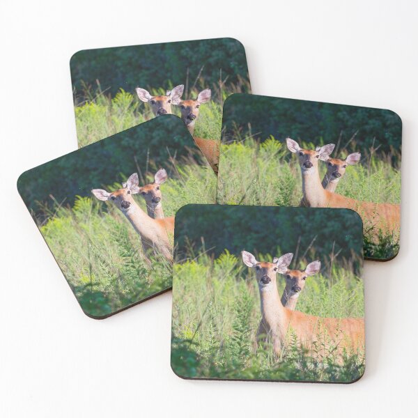 Item preview, A doe and fawn looking at the camera in morning light.  designed and sold by South 500 Photography.