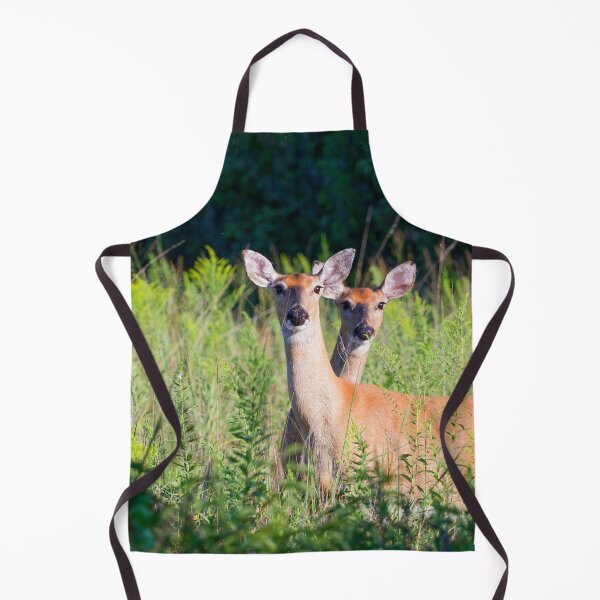 Item preview, A doe and fawn looking at the camera in morning light.  designed and sold by South 500 Photography.