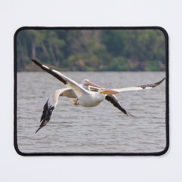 Item preview, Two Pelicans flying tandem.  designed and sold by South 500 Photography.