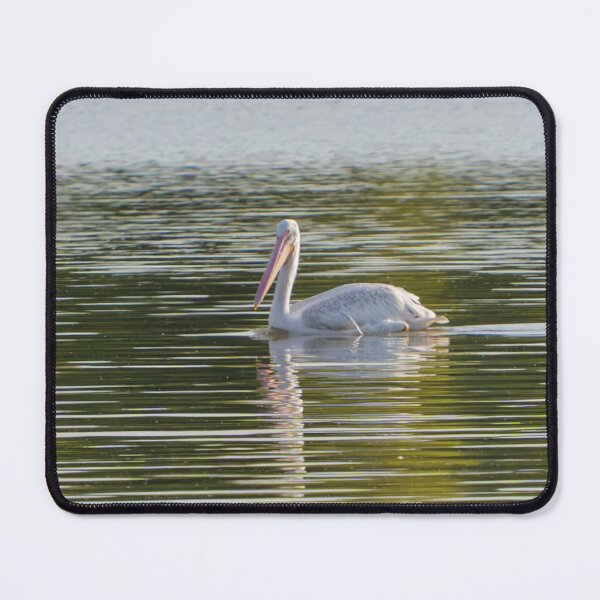 Item preview, A solitary pelican reflection is captured in calm waters on an Autumn evening. designed and sold by South 500 Photography.