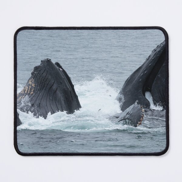 Item preview, One that got away designed and sold by JGA-Photography.