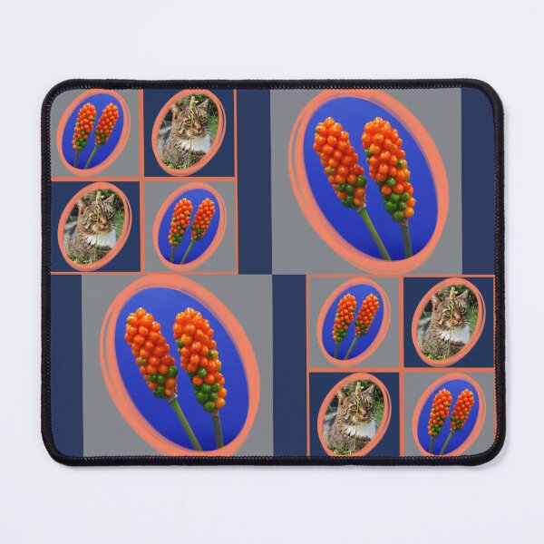 Item preview, Whimsical Cat Portrait and Italian Arum Berries Collage designed and sold by JurateArt-DK.