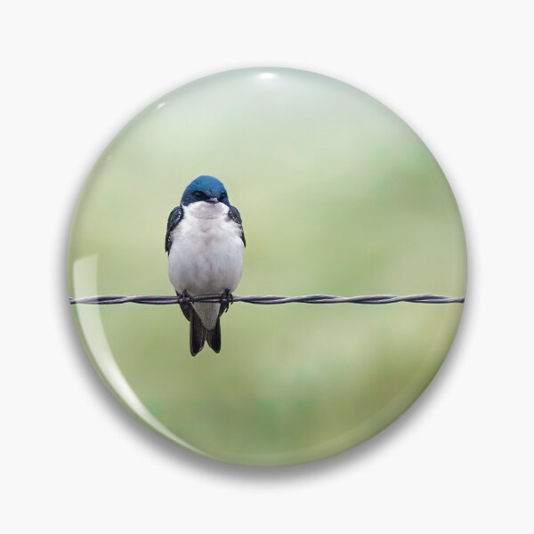 Item preview, Tree Swallows on a Wire designed and sold by CarolM.
