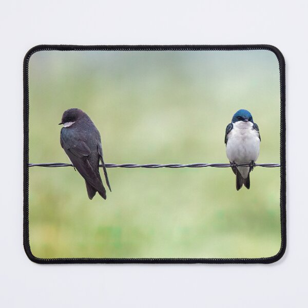 Item preview, Tree Swallows on a Wire designed and sold by CarolM.