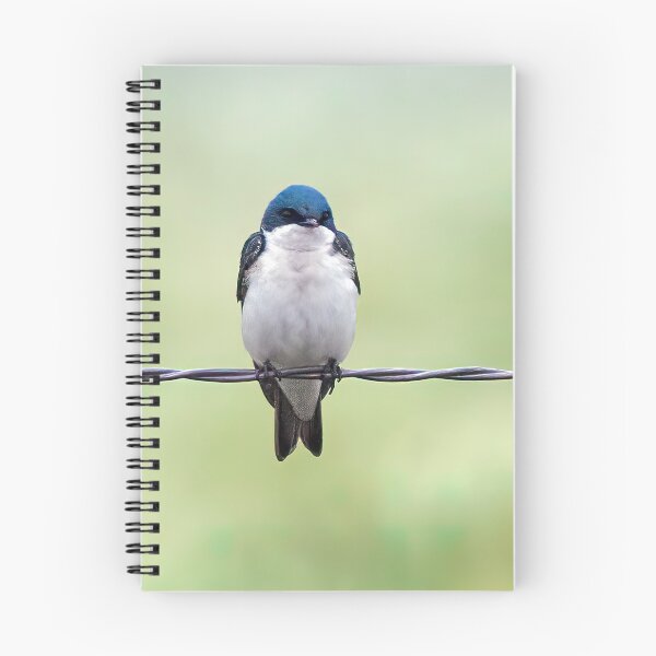 Item preview, Tree Swallows on a Wire designed and sold by CarolM.