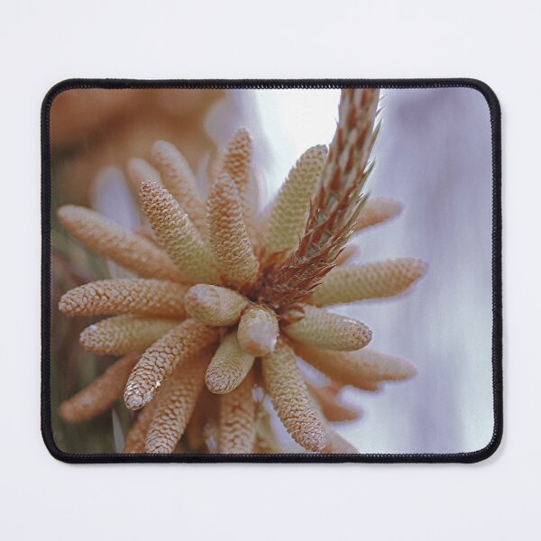 Item preview, Flower designed and sold by Jodie Cooper.