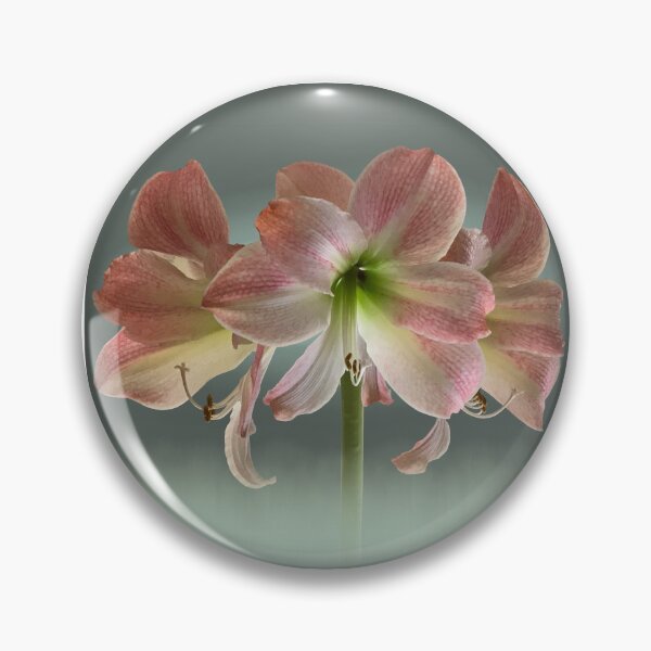 Item preview, Amaryllis in Pink and Gray designed and sold by KathyLav.