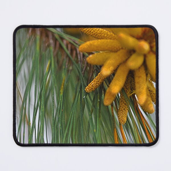 Item preview, Half a shot designed and sold by Jodie Cooper.