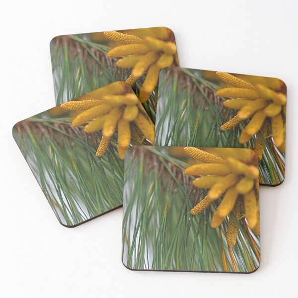 Item preview, Half a shot designed and sold by Jodie Cooper.
