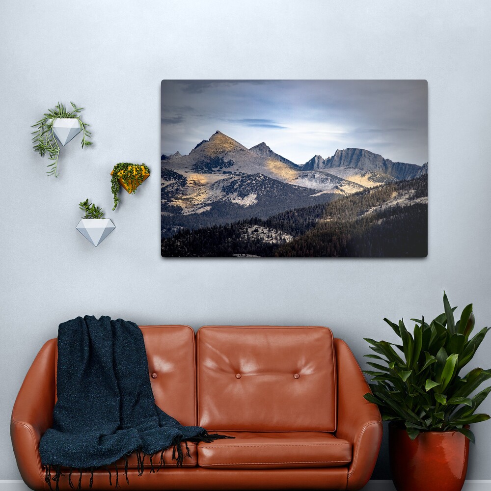 Golden Shadows Yosemite Metal Print