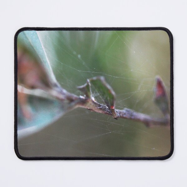 Item preview, Web on a Branch  designed and sold by Jodie Cooper.