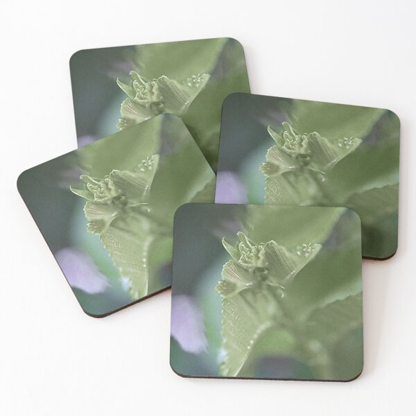 Item preview, Close up designed and sold by Jodie Cooper.