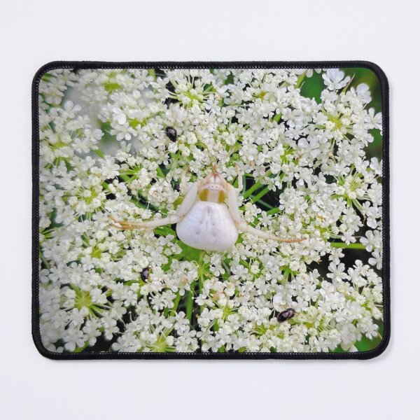 Item preview, Goldenrod crab spider designed and sold by Budibabe.
