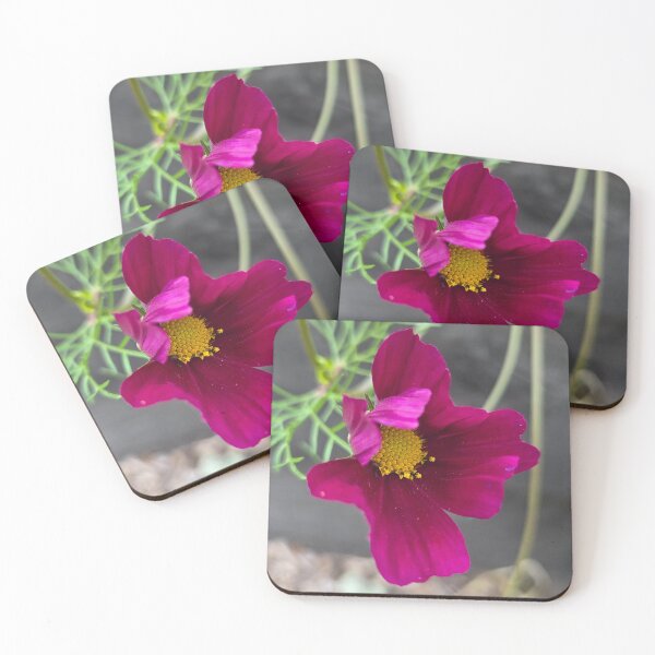 Item preview, Cosmos Flower Photography?✨️ designed and sold by Sir Martin.