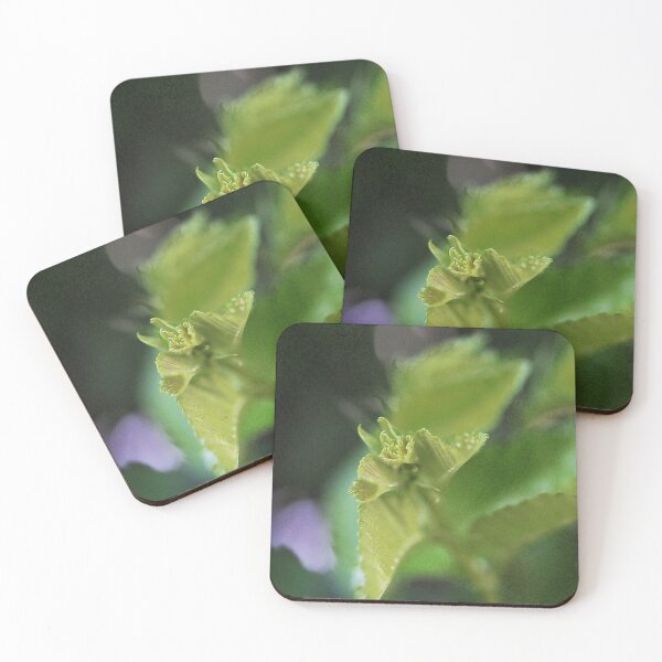 Item preview, I see designed and sold by Jodie Cooper.