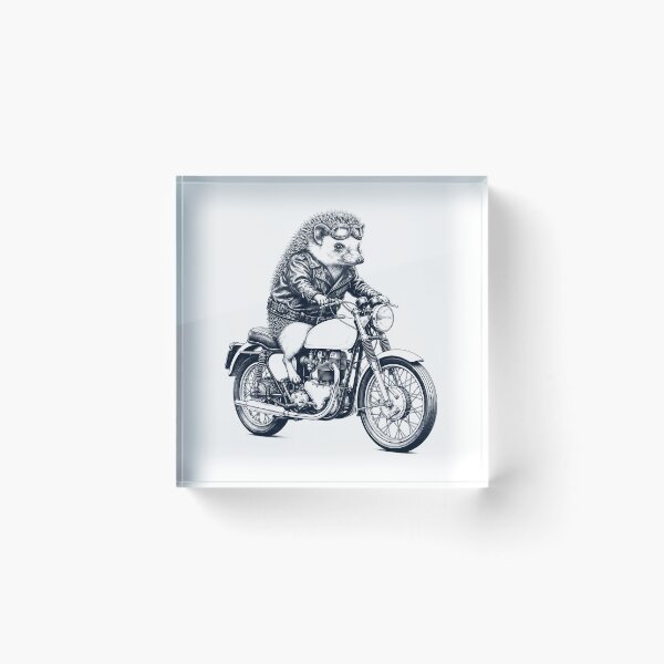 Artikelvorschau, Lustiges Igel-Motorrad, Motorrad, Tierliebhaber entworfen und verkauft von dian-rody-crest.
