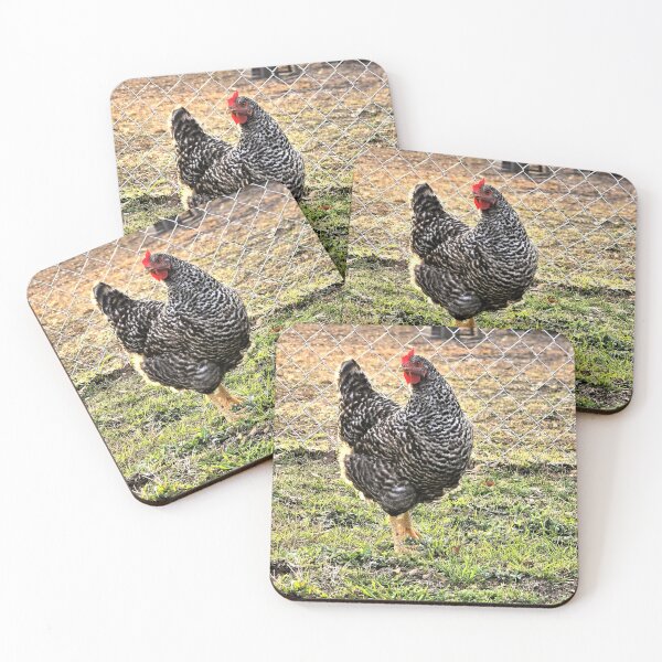Item preview, Barred Rock Hen in Yard designed and sold by Stacey's unpromised.