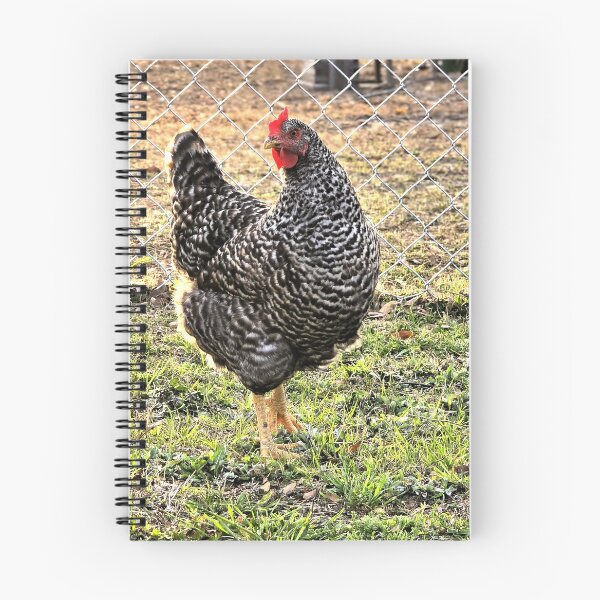 Item preview, Barred Rock Hen in Yard designed and sold by Stacey's unpromised.