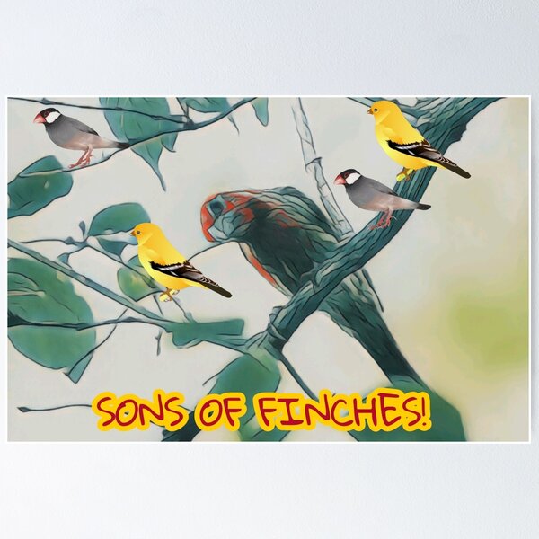 Item preview, SONS OF FINCHES! designed and sold by DooDopper Designs.