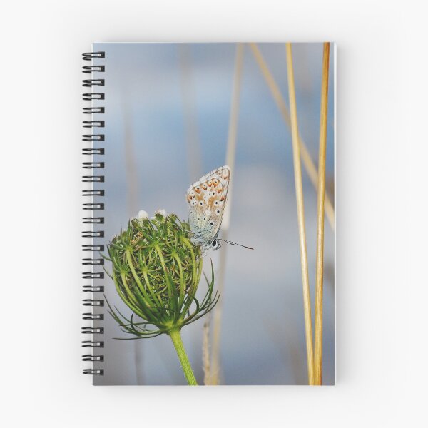 Item preview, Common blue butterfly designed and sold by HoundieLover.