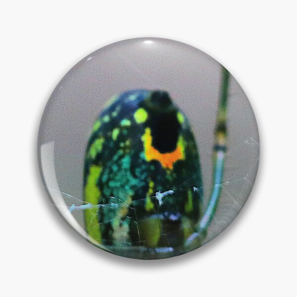 Item preview, Orchard Orbweaver Spider designed and sold by Parks and X.
