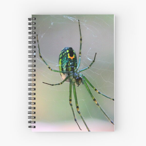 Item preview, Orchard Orbweaver Spider designed and sold by Parks and X.
