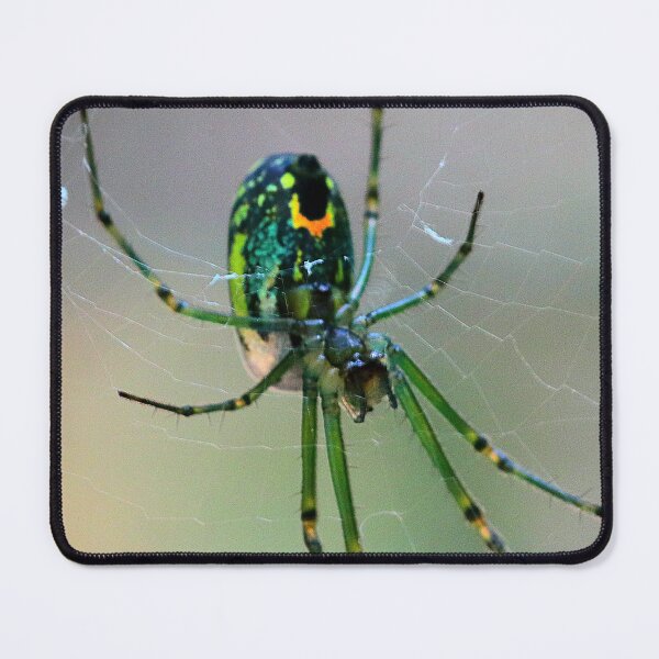Item preview, Orchard Orbweaver Spider designed and sold by Parks and X.