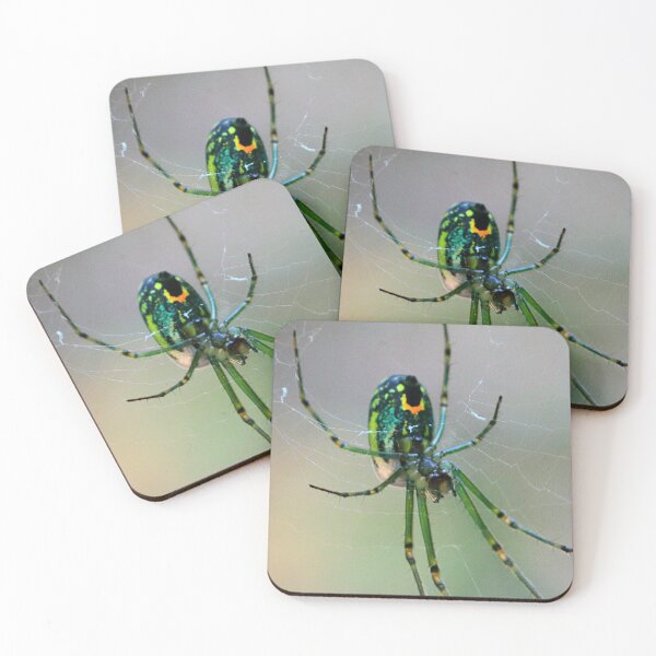 Item preview, Orchard Orbweaver Spider designed and sold by Parks and X.