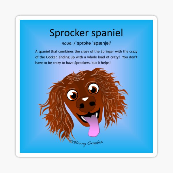 Sprocker spaniel defined! Sticker