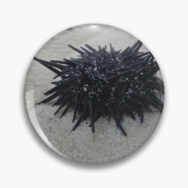 Item preview, Sea Urchin designed and sold by MelKowasic.