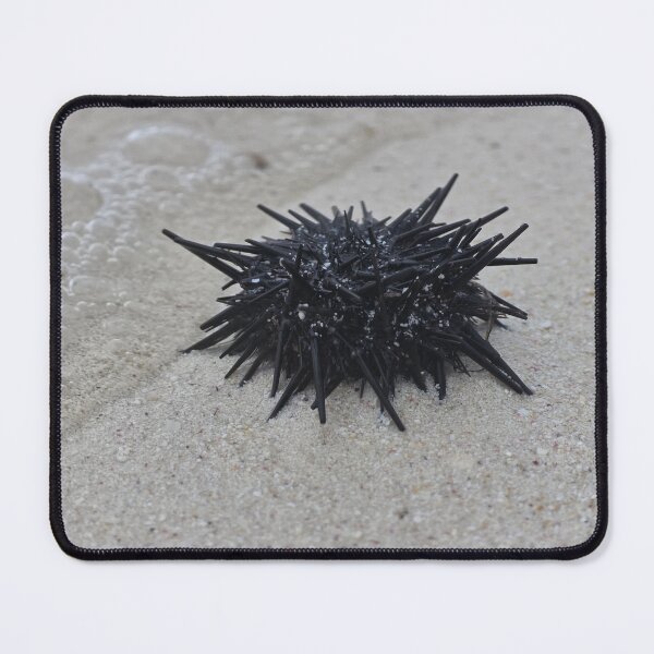 Item preview, Sea Urchin designed and sold by MelKowasic.