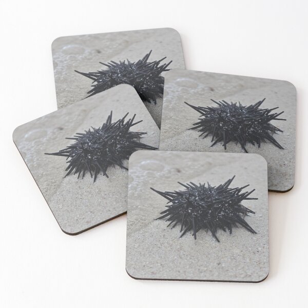 Item preview, Sea Urchin designed and sold by MelKowasic.