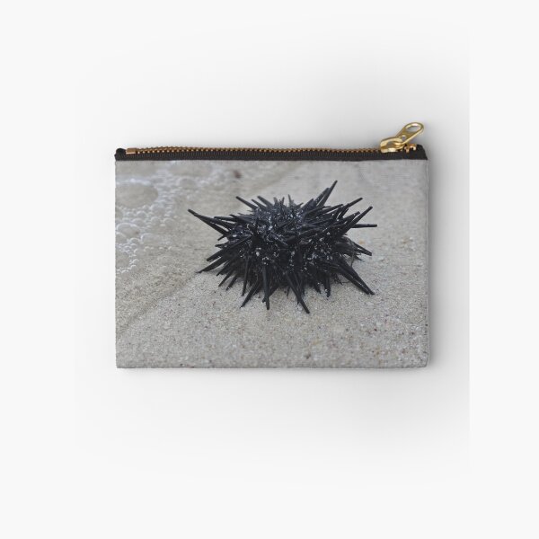 Item preview, Sea Urchin designed and sold by MelKowasic.