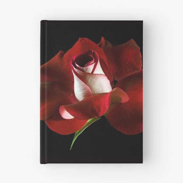 Artikelvorschau, Red Rose Petals entworfen und verkauft von elsamsantoro.