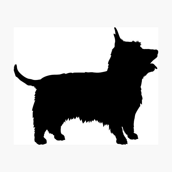 Item preview, Silky Terrier Dog designed and sold by SUMA3000.