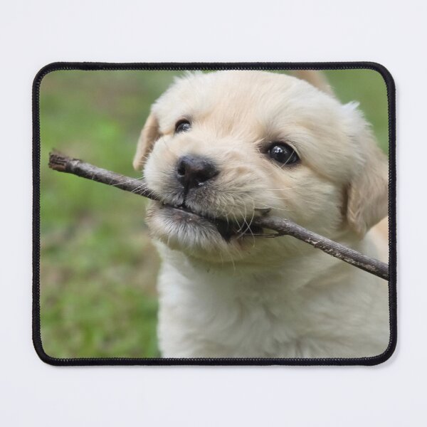 Item preview, Puppy designed and sold by MelKowasic.