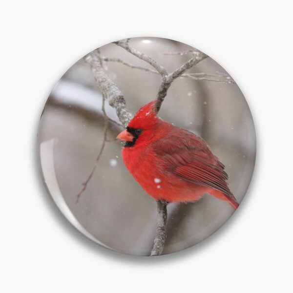 Item preview, Red Cardinal designed and sold by MelKowasic.