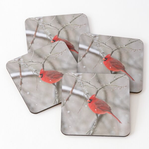 Item preview, Cardenal rojo designed and sold by MelKowasic.